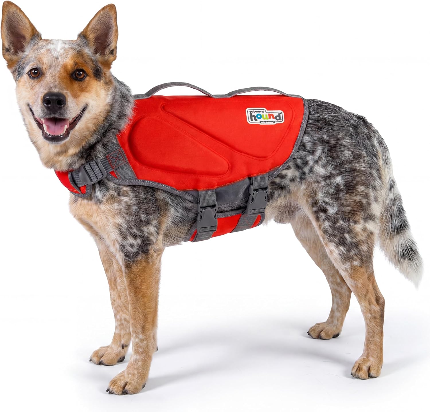 Outward Hound Dawson dog life jacket medium front view on a swimming dog