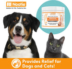 Authentic Nootie dermatology solutions ear wipes for itchy ears and odor removal.
