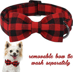 Unique Style Paws dog collar showing adjustable metal buckle and hardware.