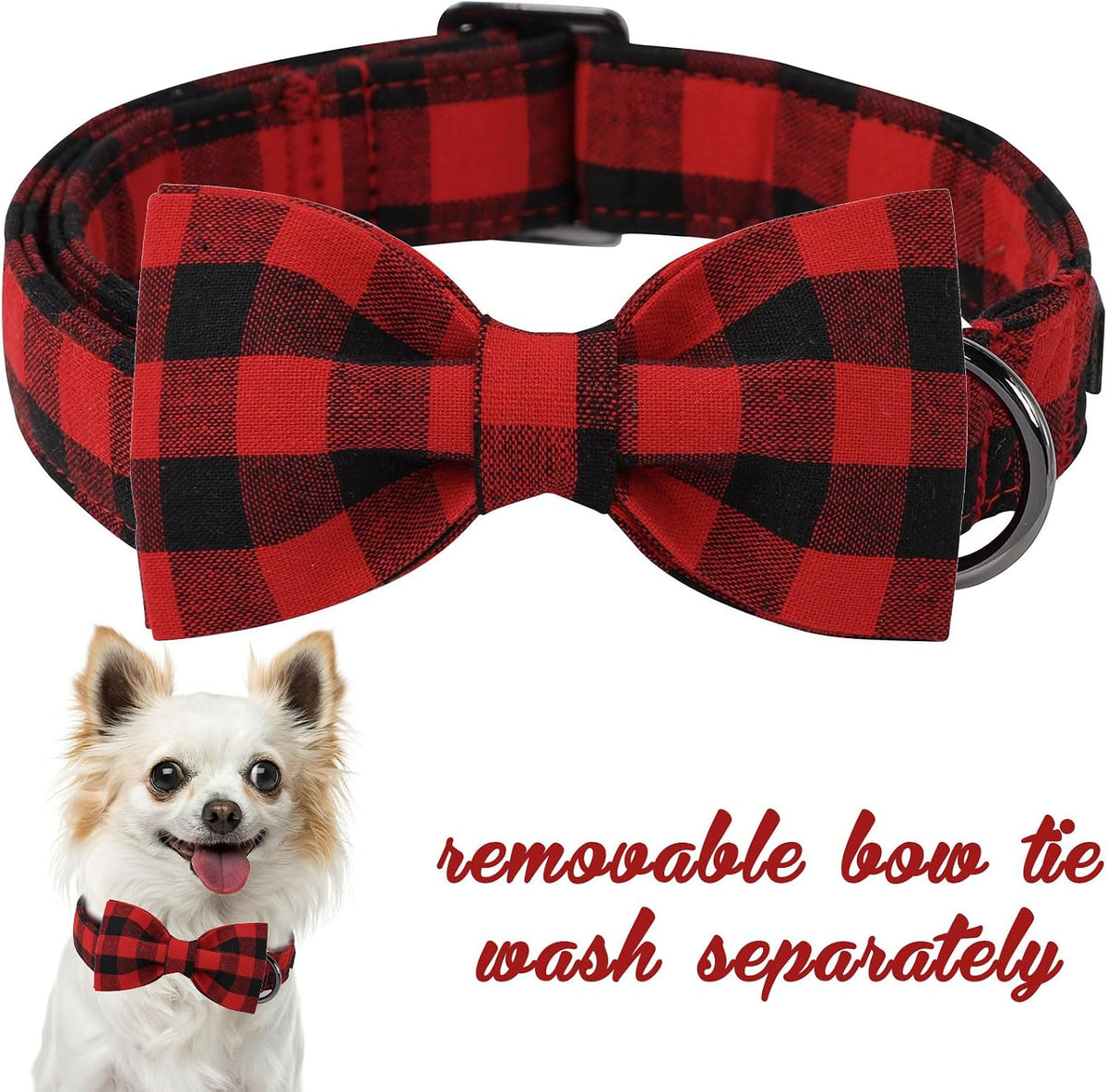 Unique Style Paws dog collar showing adjustable metal buckle and hardware.