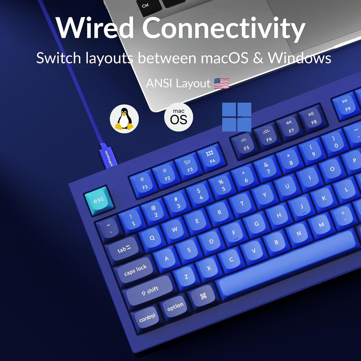 Keychron Q1 RGB Wired Custom Mechanical Keyboard, 75% Layout RGB Backlight with Hot-swappable Gateron G Pro Brown Switch Double Gasket Compatible with Mac Windows Linux (Blue) -Version 2 - Image 2