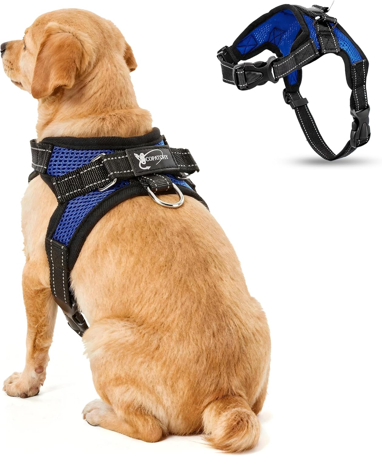 Copatchy blue no pull dog harness front view