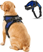 Copatchy blue no pull dog harness front view