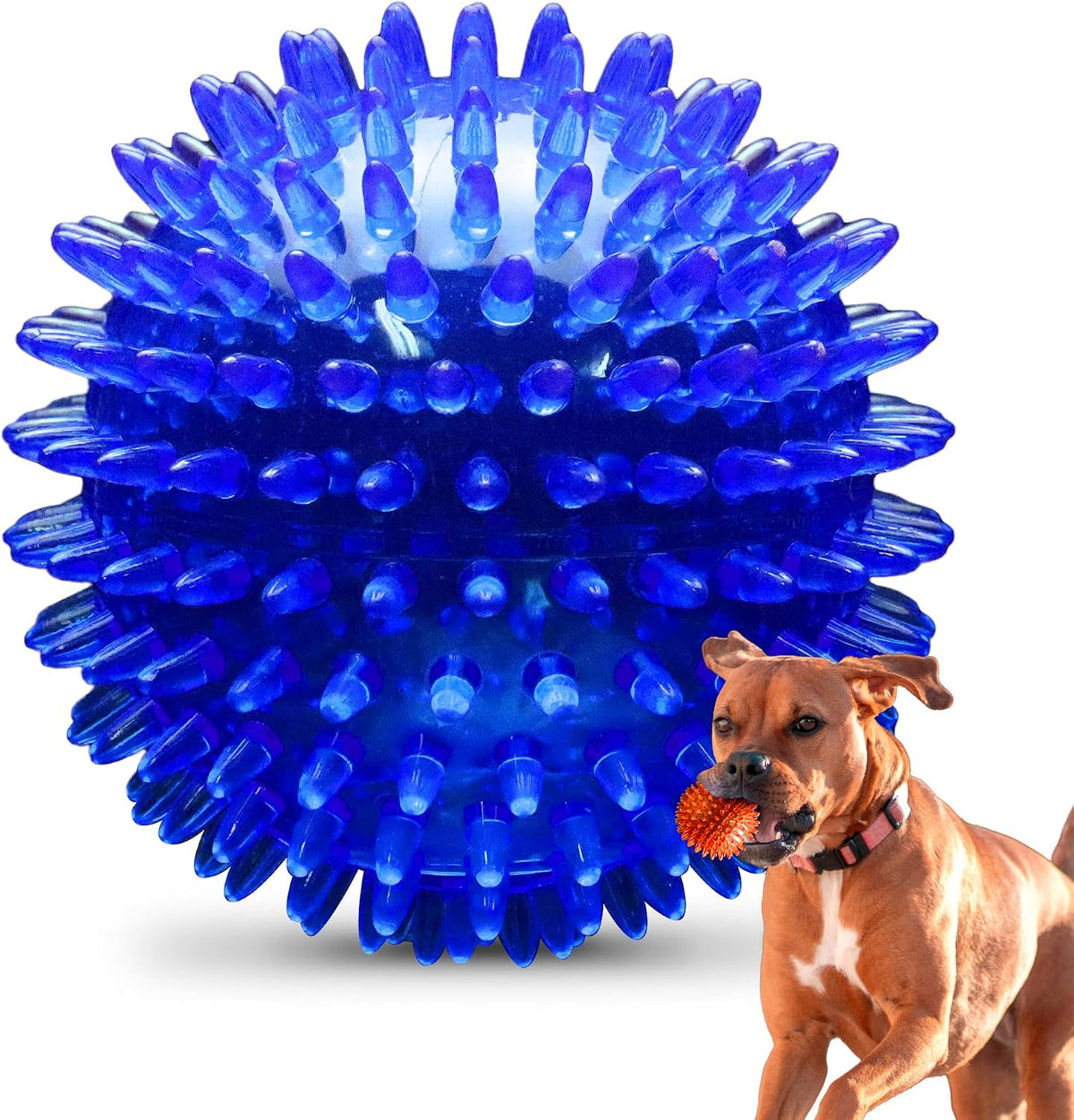 PetSport imported dog toy packaging and product overview.