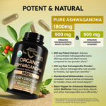 Nutraharmony vegan ashwagandha supplement bottle side profile