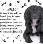 Bugalugs vegan professional dog grooming shampoo bottle close up