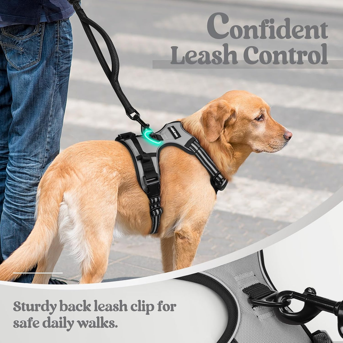 Rabbitgoo small dog harness chest attachment detail