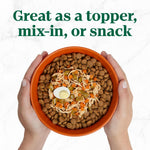 Nutro chicken and bone broth wet dog food trays for adult dogs.