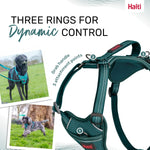 Close up of Halti dog harness grab handle and D-rings