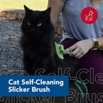 Safari by Coastal cat deshedding brush with retractable pins mechanism.