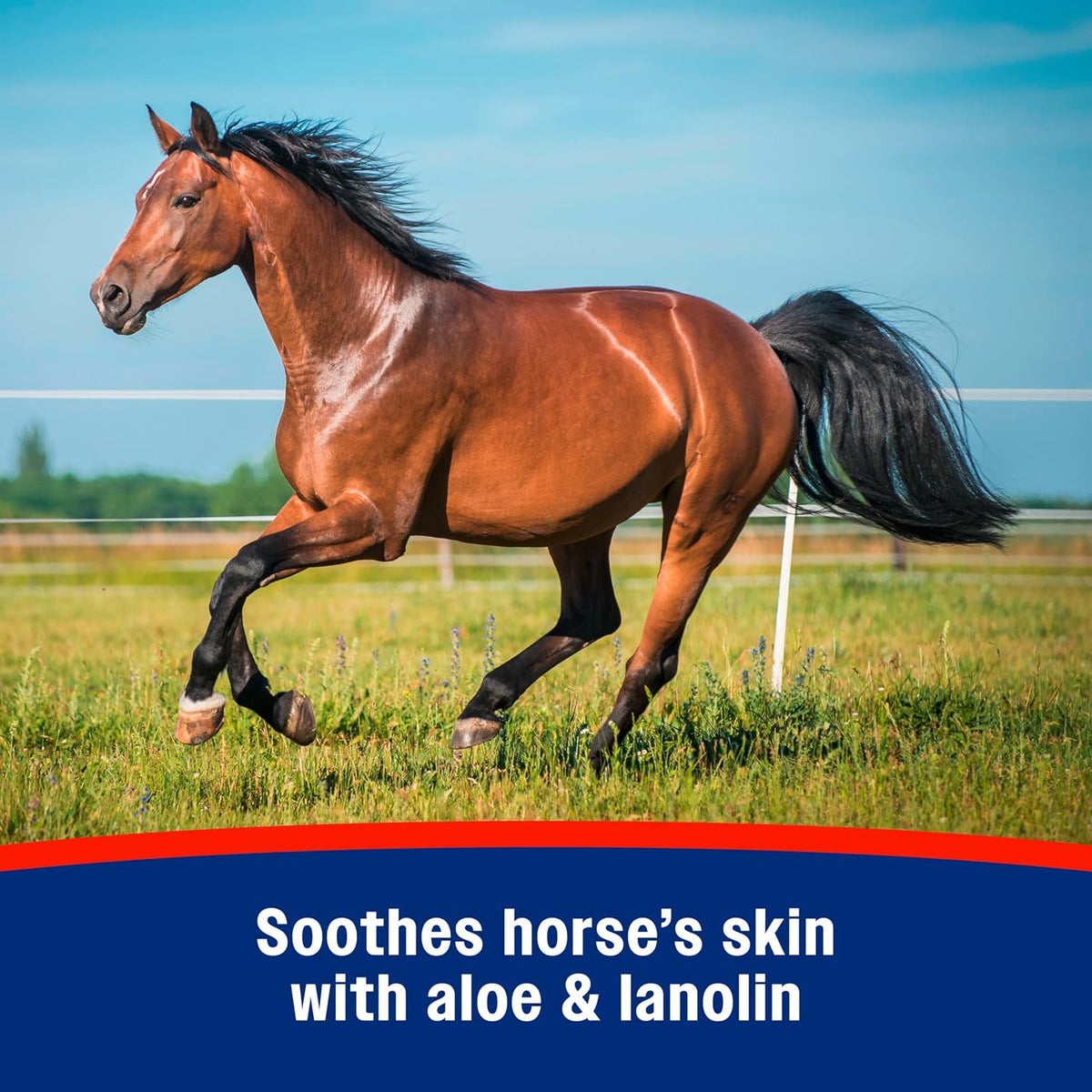 Farnam water based horse spray with aloe and lanolin benefits text