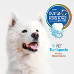 Close up of Nylabone dental paste packaging and Denta-C logo