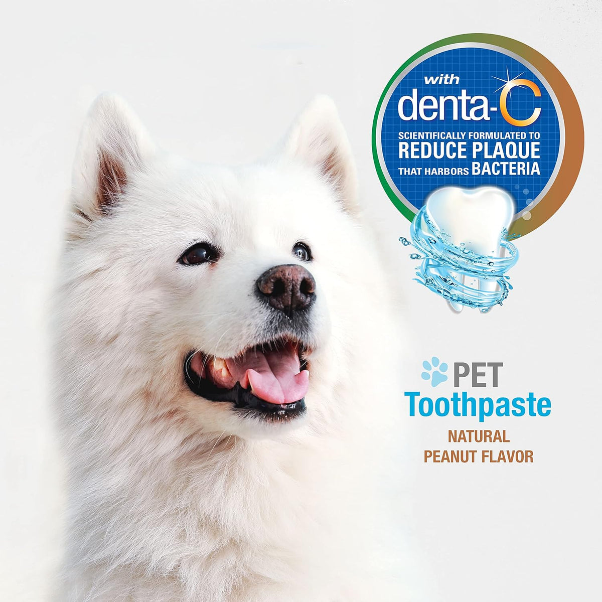 Close up of Nylabone dental paste packaging and Denta-C logo
