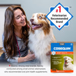 Nutramax Cosequin glucosamine chondroitin msm supplement directions for use