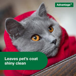 USA imported authentic pet healthcare flea treatment for felines side view