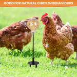 Close up of the durable metal spring mechanism on the Moyardow chicken toy