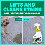 Close up of Shout Pet Stain Remover instructions on back label