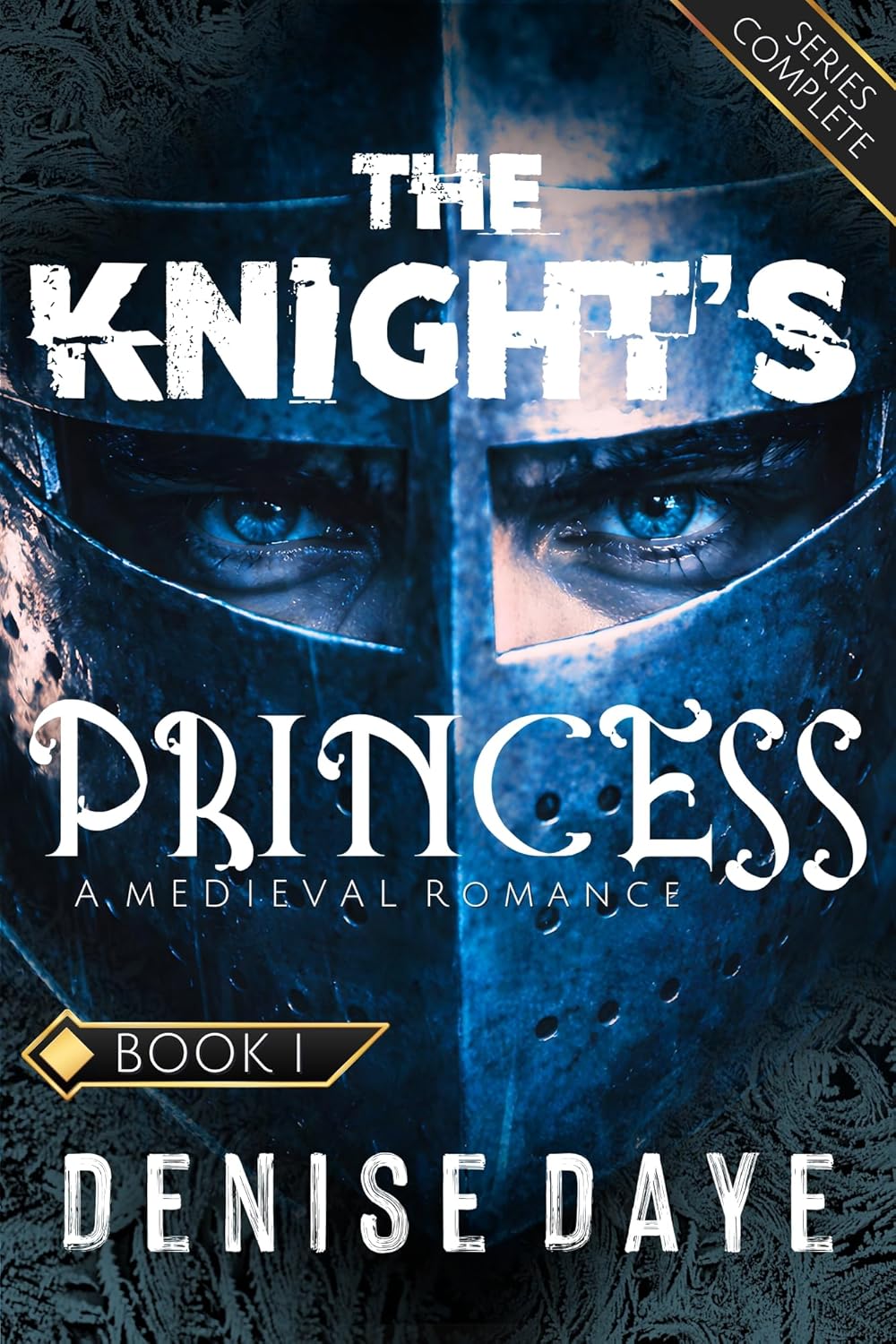 Denise Daye The Knight's Princess book cover front view