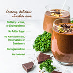 Orgain Organic Vegan Protein Powder + Greens, Creamy Chocolate Fudge - 21g Plant Based Protein, Gluten Free, Dairy & Lactose Free, Soy Free, No Sugar Added, Iron & Prebiotics for Gut Health - 1.94lb - Image 4