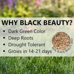 Jonathan Green lawn seed bag in a garden setting