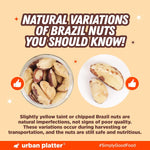 Nutrient rich superfood nuts in a bowl