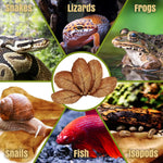 Reptile tank setup with SunGrow leaf litter substrate