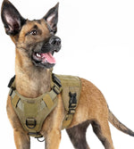 rabbitgoo Tactical Dog Harness for Large, Heavy Duty Military No Pull Vest | Sturdy Metal Buckles, 5 Adjustments, Molle System, Powerful Pullers for Training, Hunting, Outdoor, Red, Large - Image 15