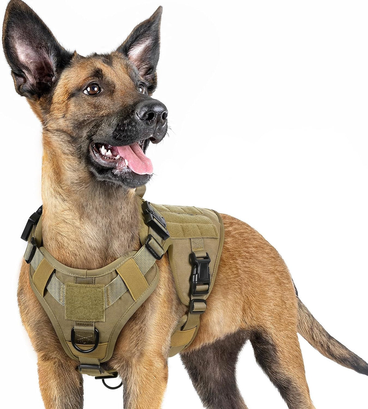 rabbitgoo Tactical Dog Harness for Large, Heavy Duty Military No Pull Vest | Sturdy Metal Buckles, 5 Adjustments, Molle System, Powerful Pullers for Training, Hunting, Outdoor, Red, Large - Image 15