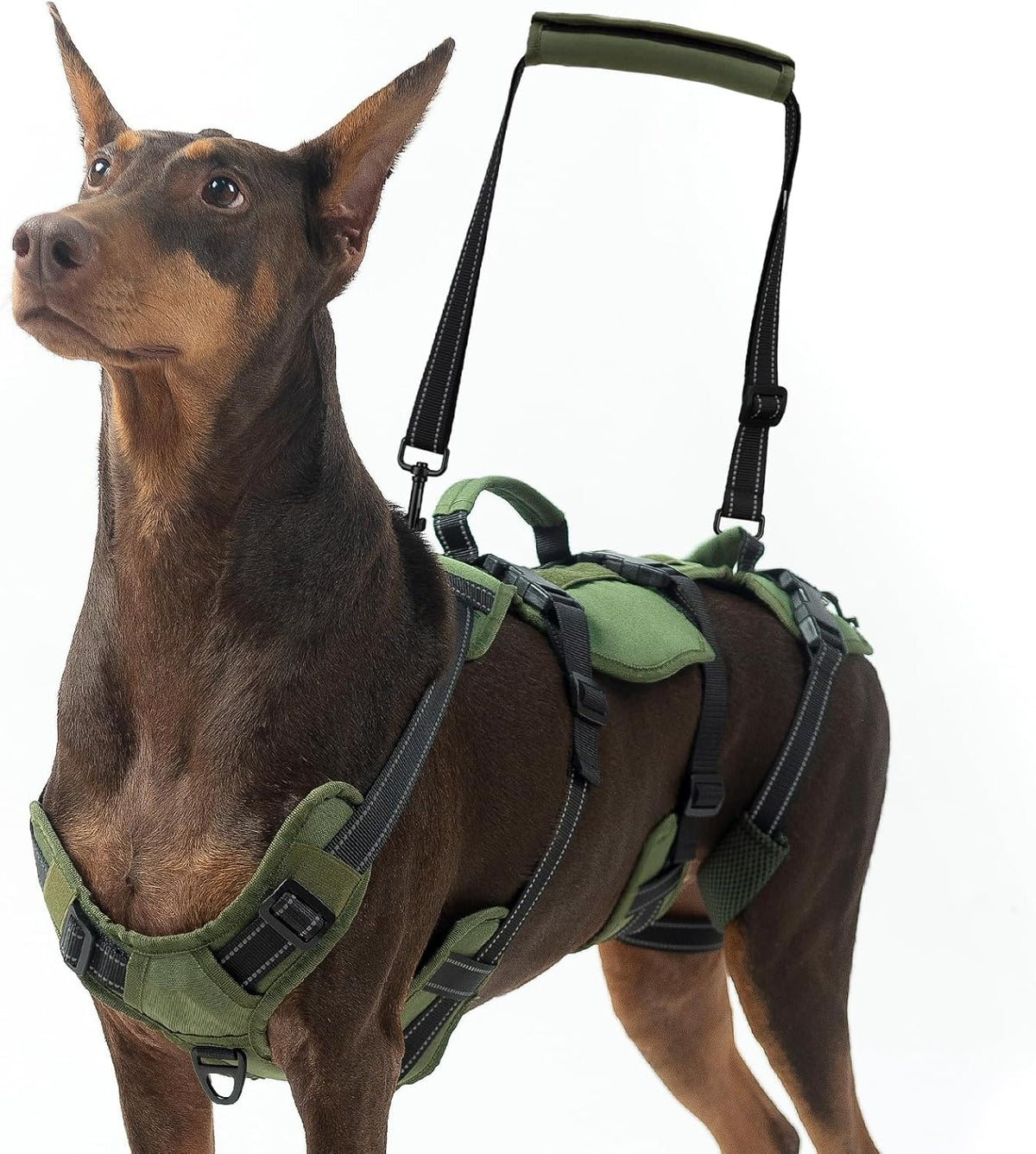 BINGPET Dog Lift Harness for Large Dogs,Full Body Support Rehabilitation Dog Sling Carrier with Handles,Reflective Multifunctional Mobility Assistance Vest for Senior Pets Joint Injuries,Arthritis,L - Image 10