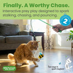 Catstages cat toy wand with glow in the dark moth attachment