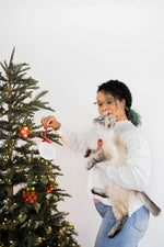 Pearhead 2-pack ornament kit with shaping tools