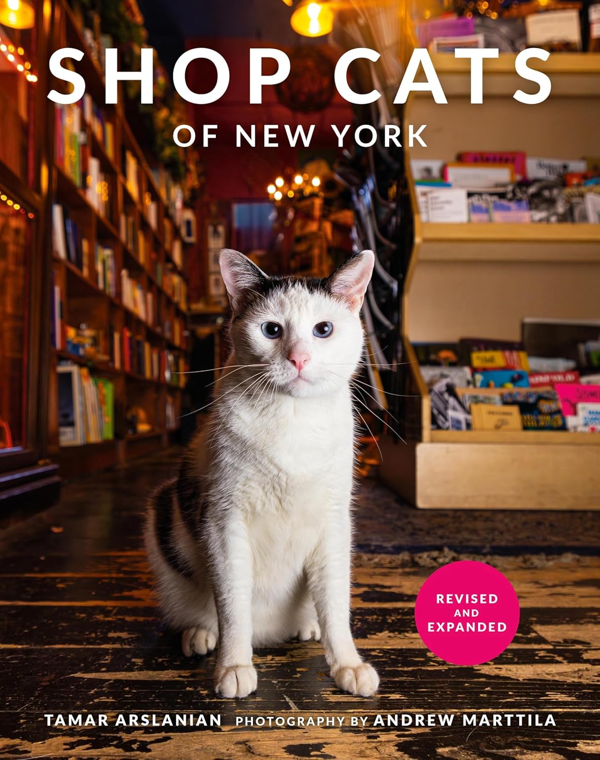 Shop Cats of New York (Revised and Expanded) - Image 1