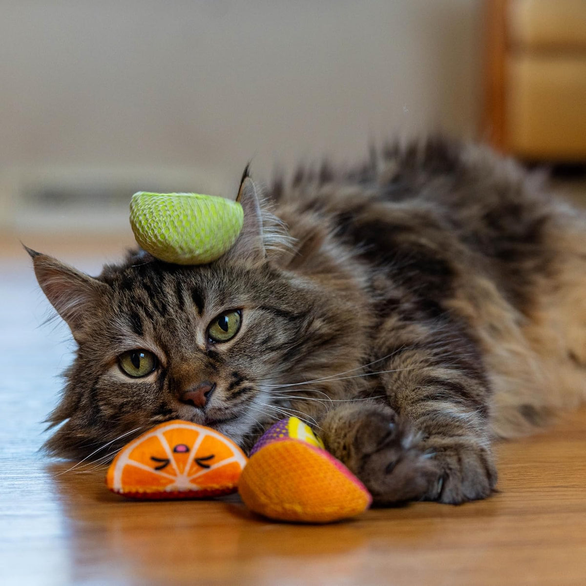 Playful cat interacting with fruit wedge chew toys