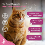 Natural plant based health supplement for restless cats suffering from weight loss.
