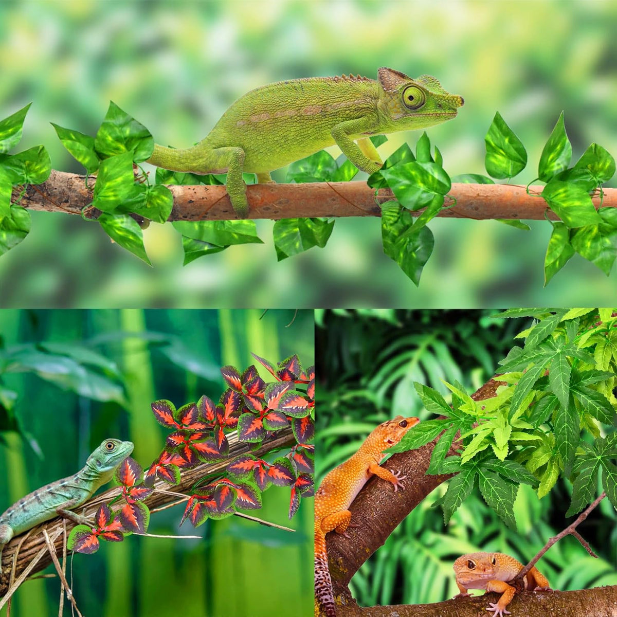 Katumo amphibian hanging plants for gecko tank