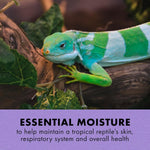 Zilla reptile humidity spray bottle for tropical terrariums
