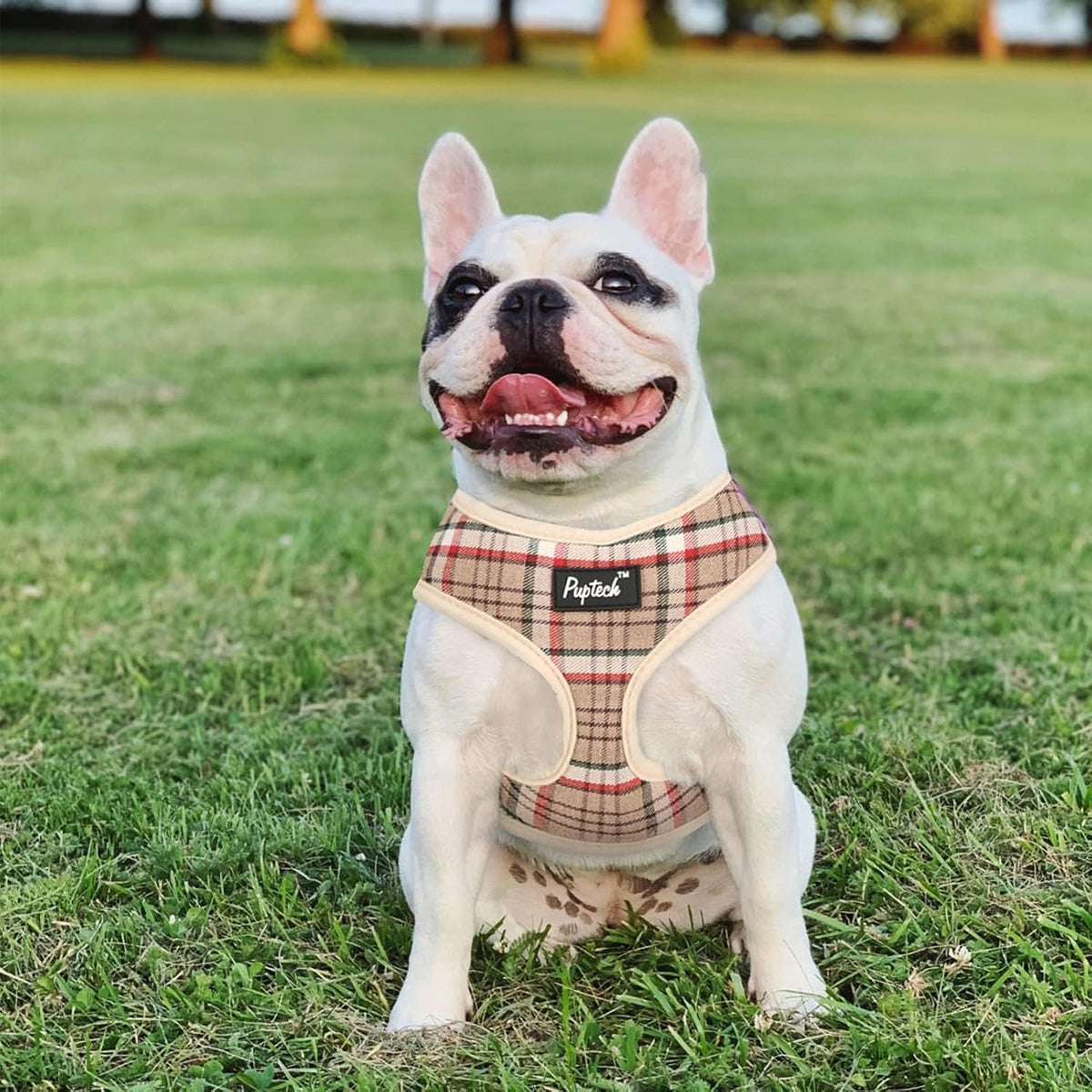 PUPTECK no choke dog harness buckle view
