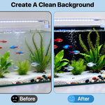 Premium matte black fish tank backdrop wallpaper showing an elegant contrast enhancement for aquatic life.