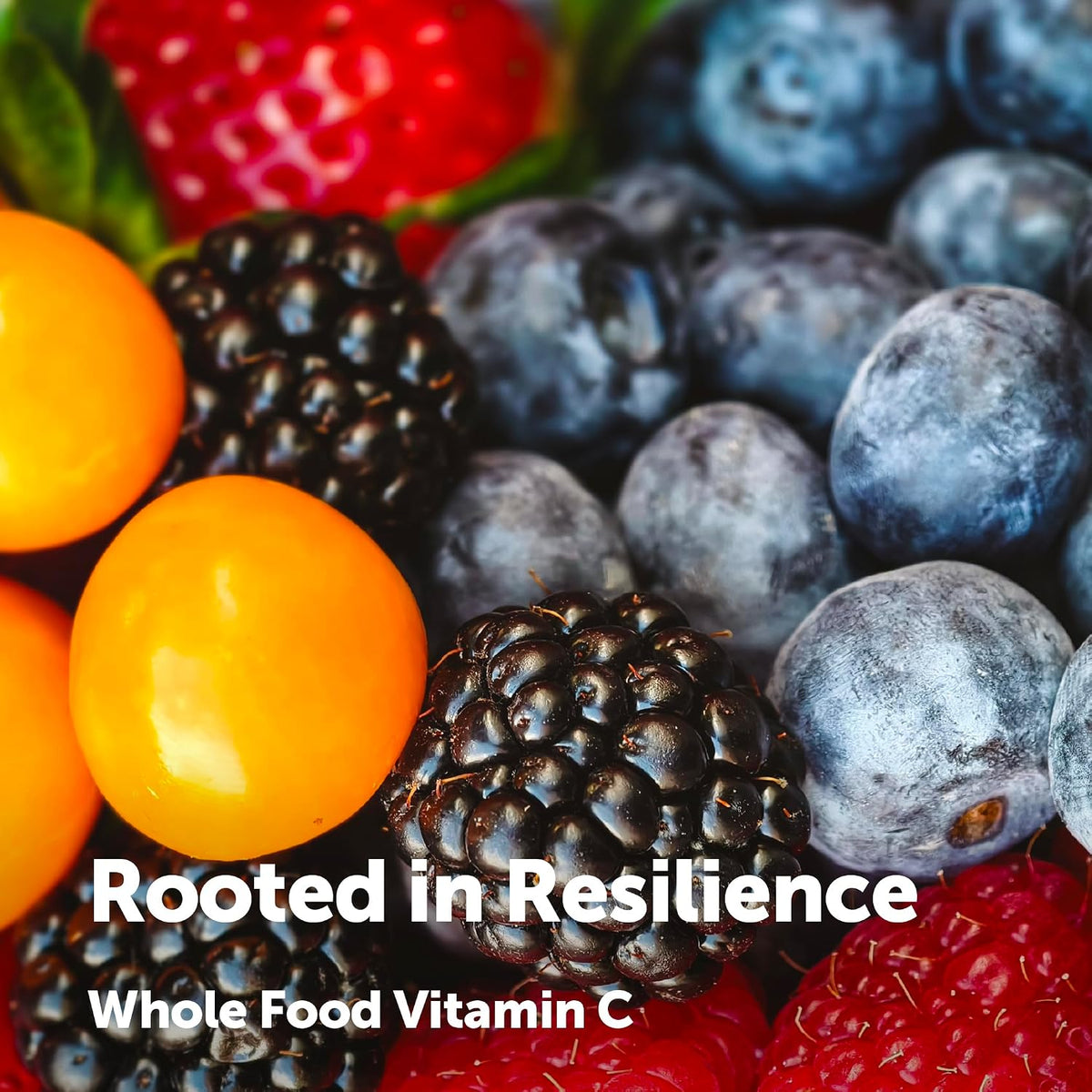 Micro Ingredients Vitamin C capsules size and texture view