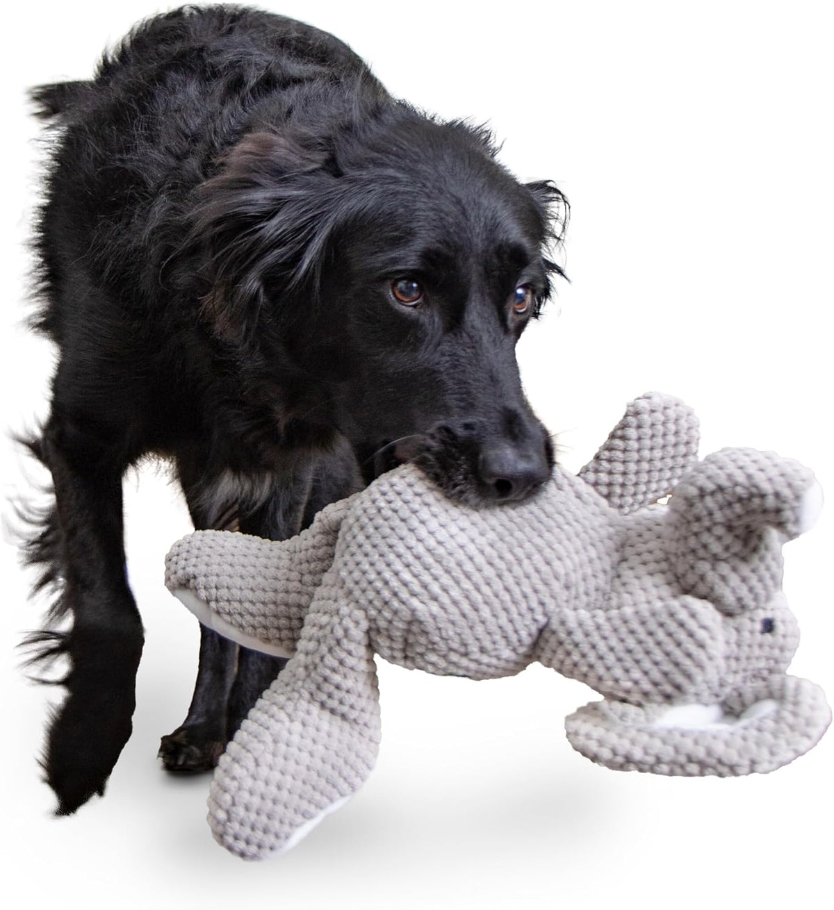 goDog Checkers Elephant Tough Plush Toy with Chew Guard Technology, Durable Checkered Fabric & Squeaker for Active Play, Gray, Large - Image 9