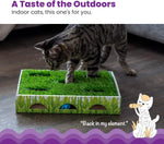 Catstages hunting box displaying enclosed jingle balls inside