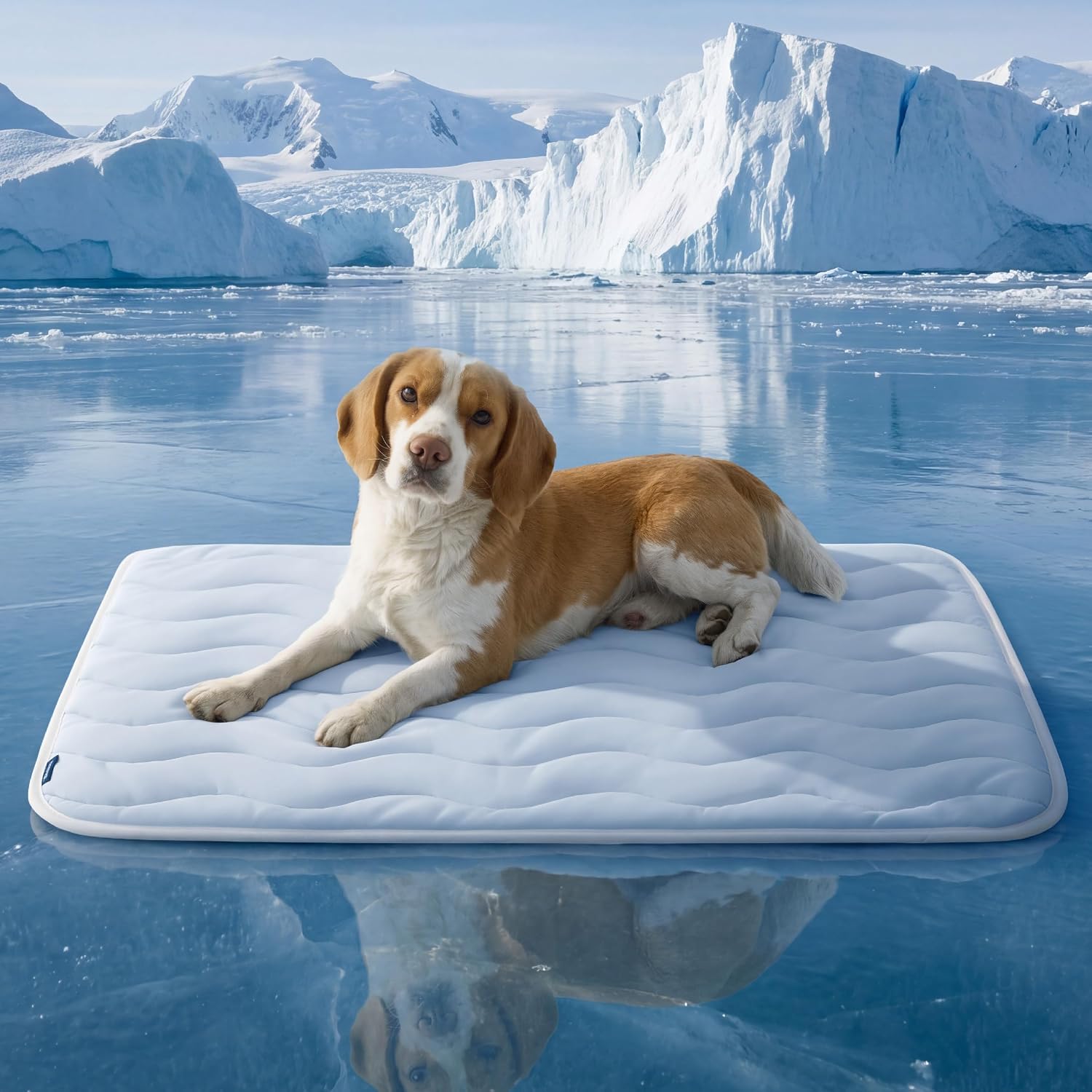 Bedsure cooling mat for large dogs front view in blue color