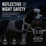 ShawnCo Dream Walk Pro Dog Harness- No-Pull, Comfortable, Adjustable, Easy to Use Pet Halter to Help Stop Pulling for Small, Medium and Large Dogs (ICY Lilac, Small) - Image 6