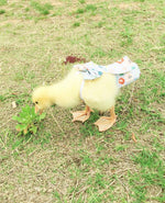 HEZHUO medium poultry supplies diaper showing lightweight breathable fabric texture