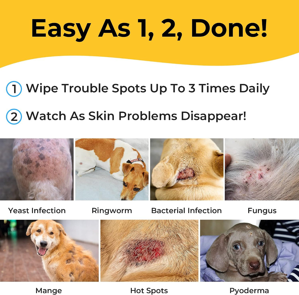 Antifungal pet wipes for cat ringworm and yeast infection care