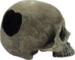 Multipet Komodo half human skull aquarium accessory close up