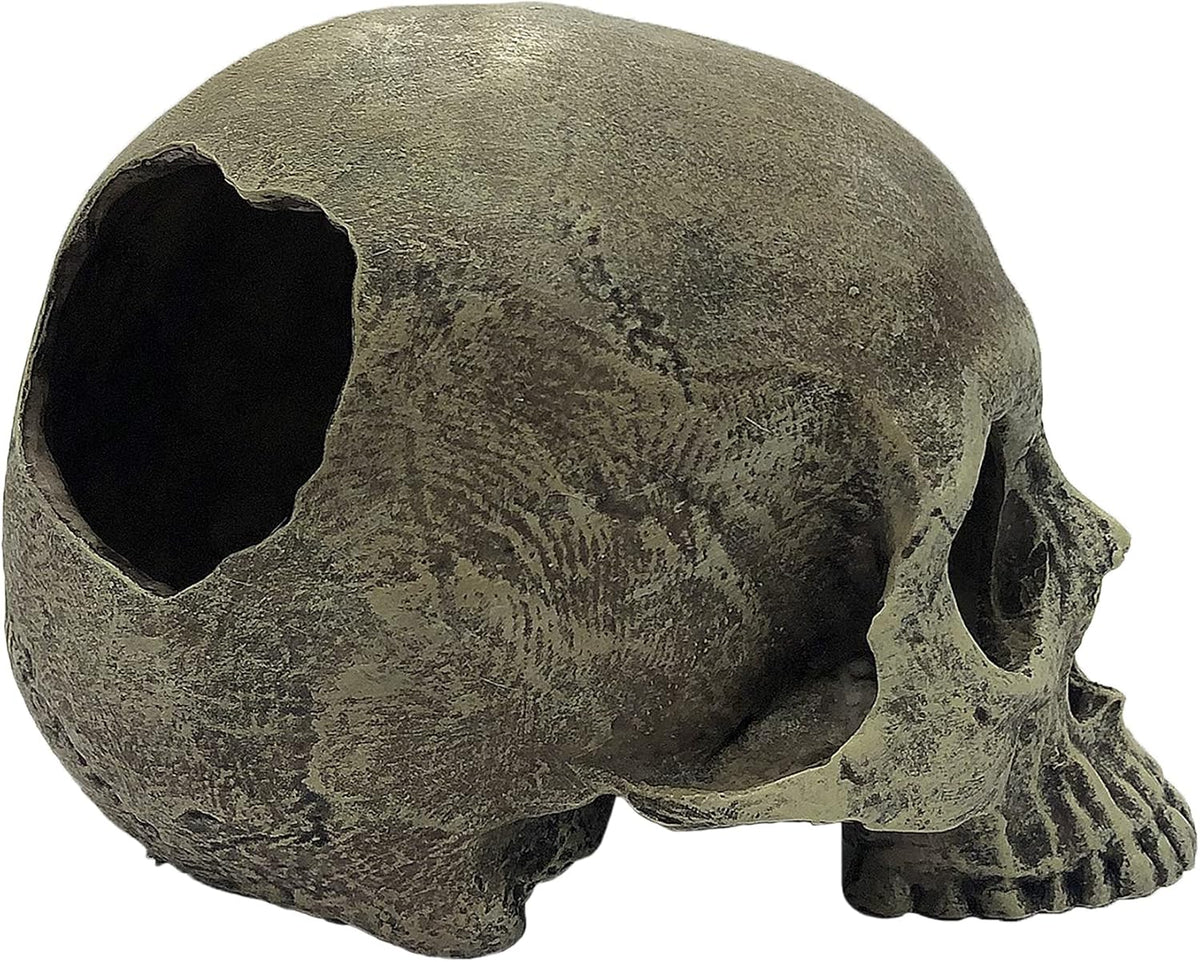 Multipet Komodo half human skull aquarium accessory close up