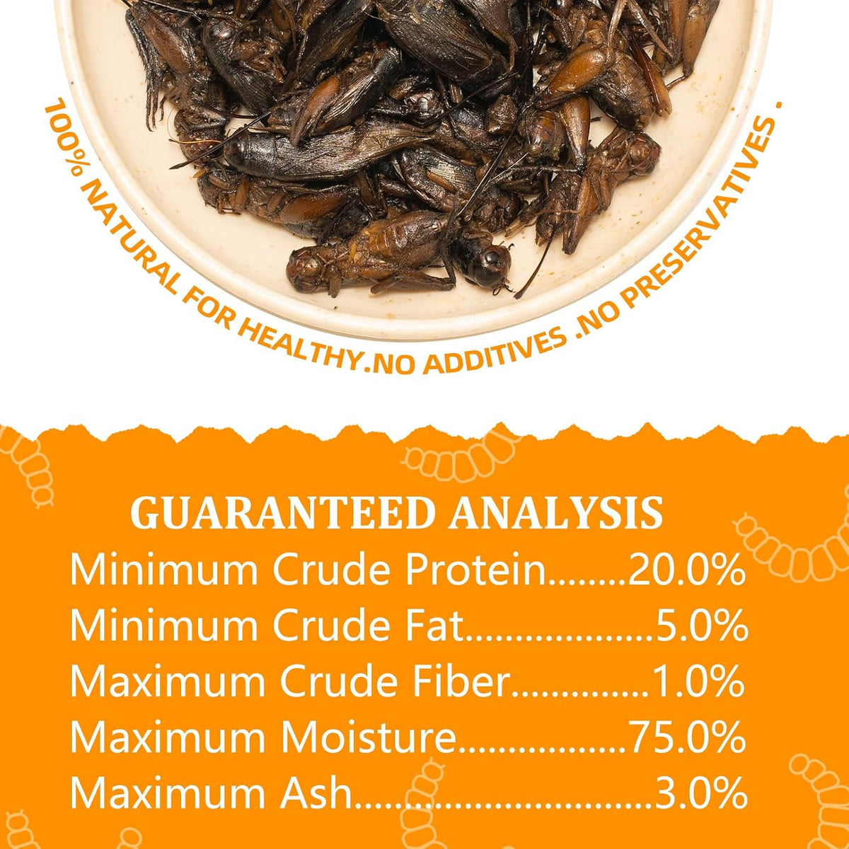 Authentic USA imported canned crickets for small animals