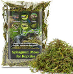 Sukh Sphagnum Moss for Reptiles - Terrarium Reptiles Moss Green Dried Peat Moss Habitat Bedding Moss for Snakes Turtle Frog Gecko and Other Reptiles Substrate (5, Ounces) - Image 10