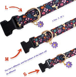 Faygarsle small dog collar gold hardware view